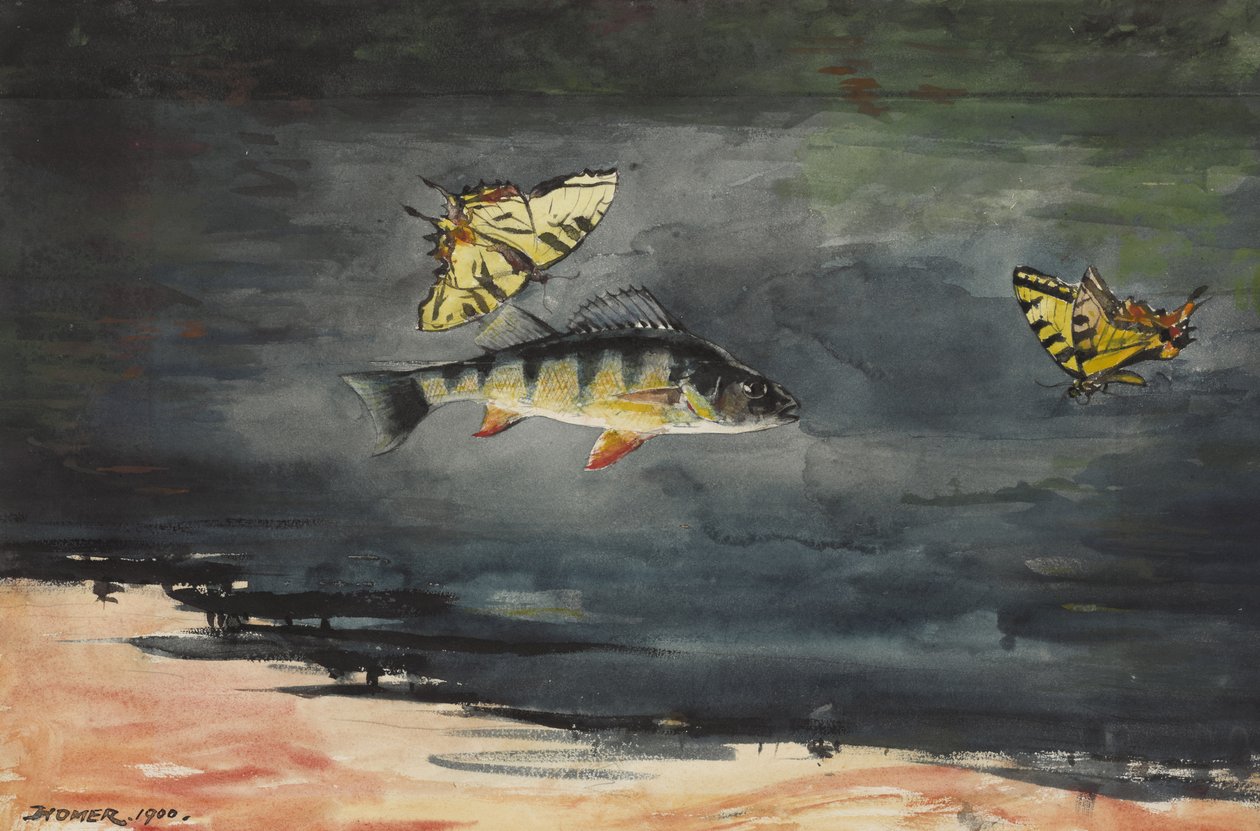 Fisk og sommerfugle, 1900 af Winslow Homer