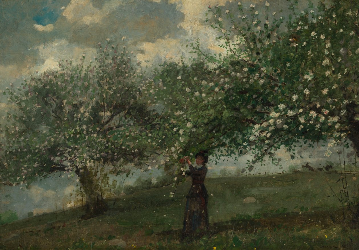 Pige plukker æbleblomster, 1879. af Winslow Homer