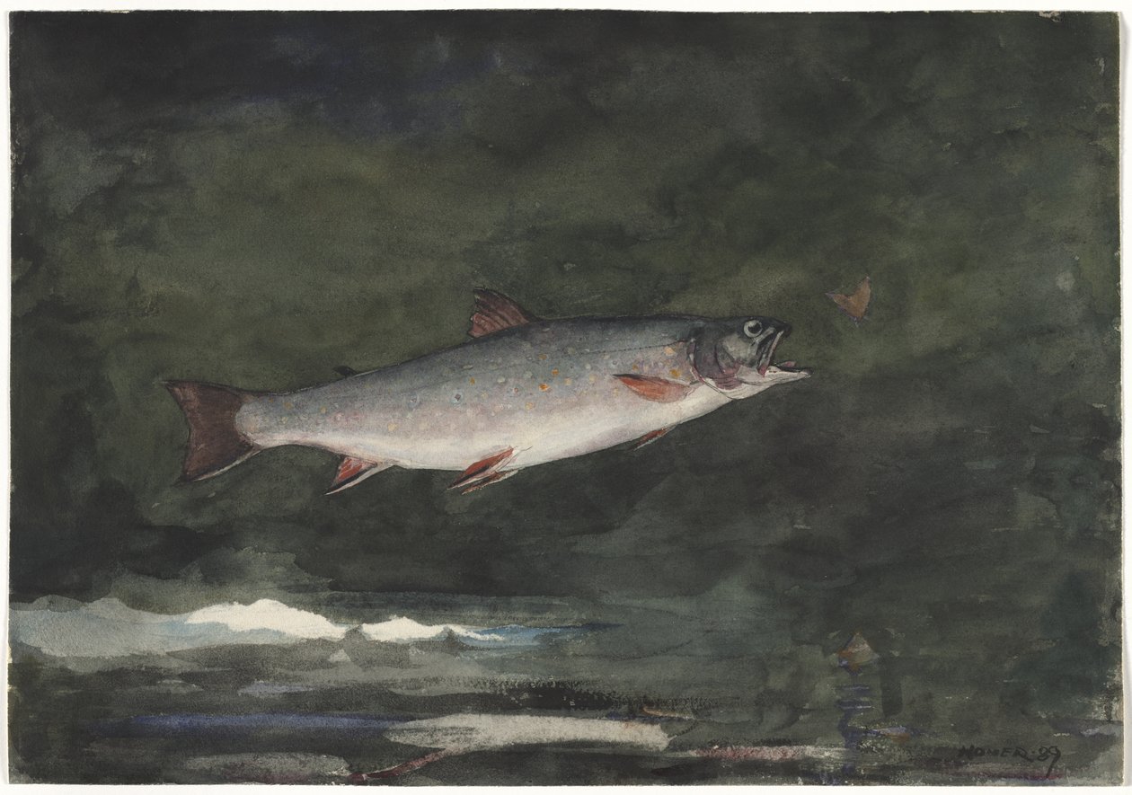 Den springende ørred af Winslow Homer