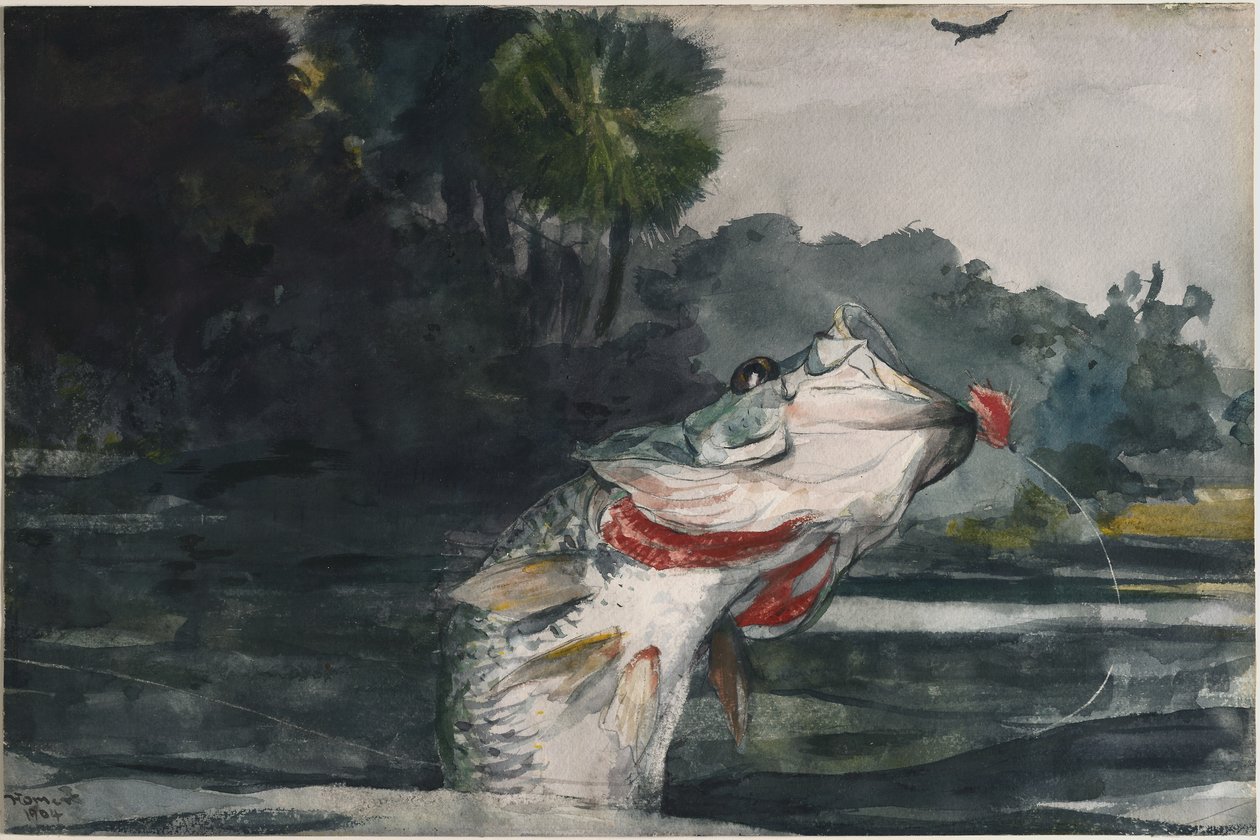 Sortaborre i naturlig størrelse af Winslow Homer