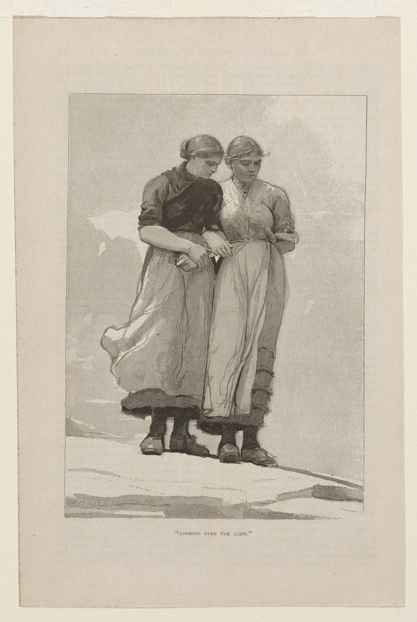 Udsigt over klippen af Winslow Homer