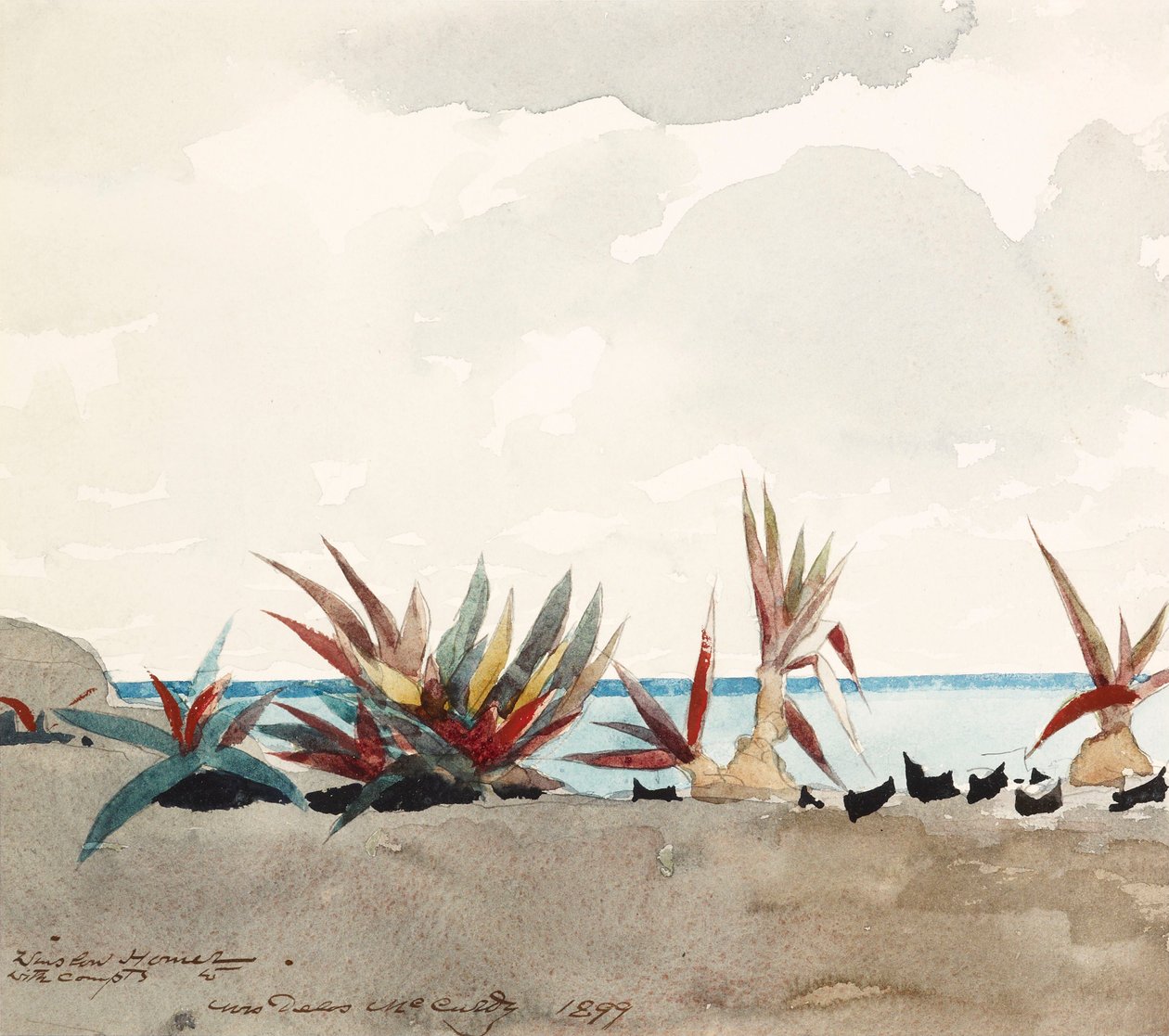 Nassau Beach med agaver af Winslow Homer