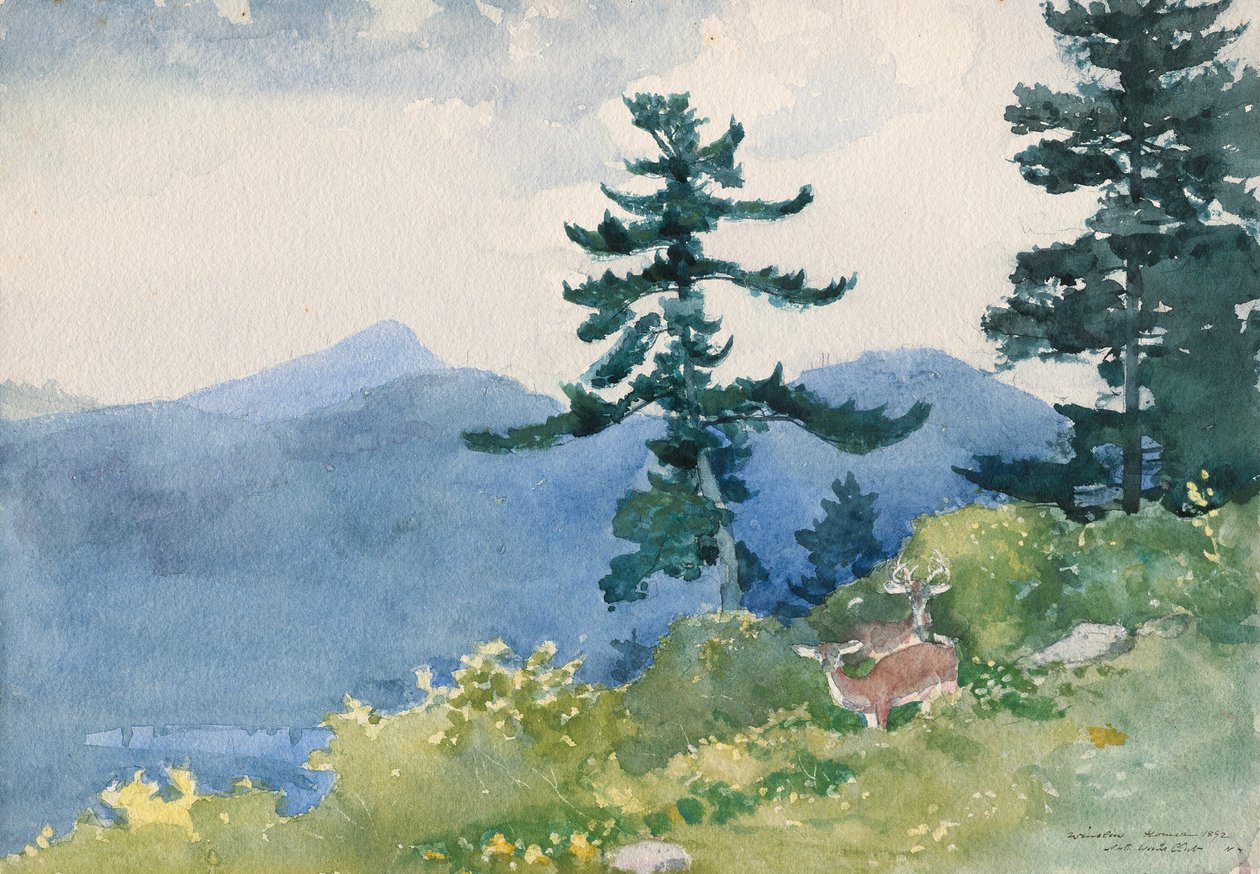 North Woods Club, Adirondacks (The Interrupted Tete-a-Tete) af Winslow Homer
