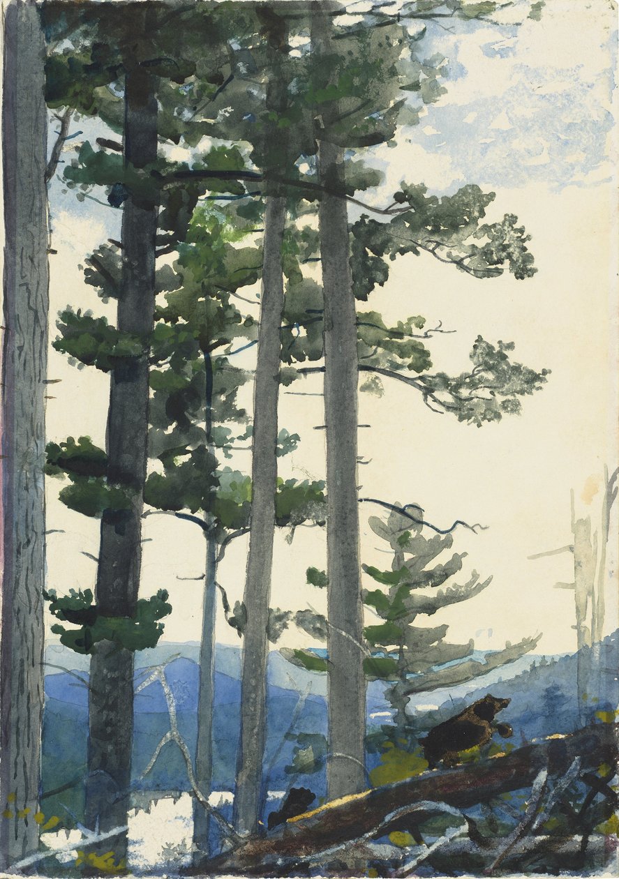 Gamle nybyggere af Winslow Homer