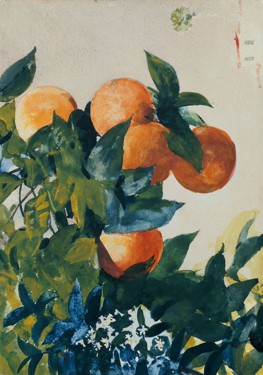 Appelsiner på en gren, 1885 af Winslow Homer