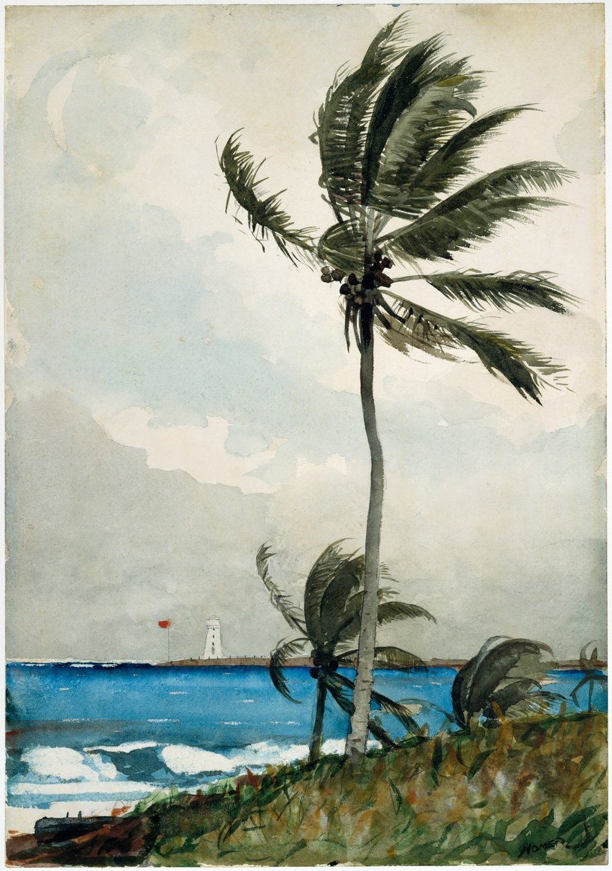 Palmetræ, Nassau af Winslow Homer