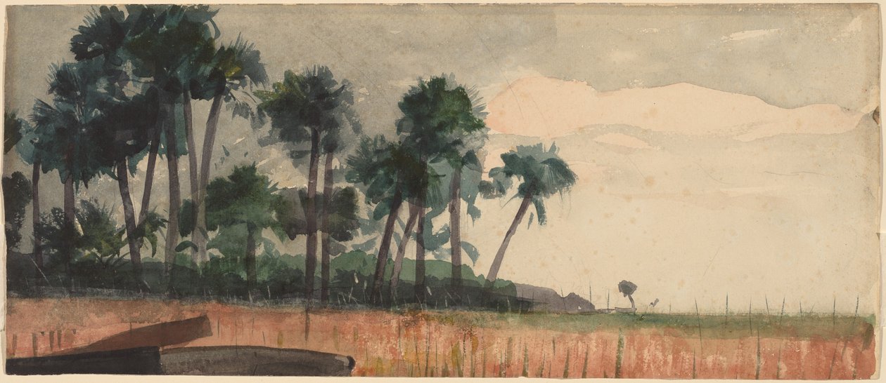 Palmetræer, rød af Winslow Homer