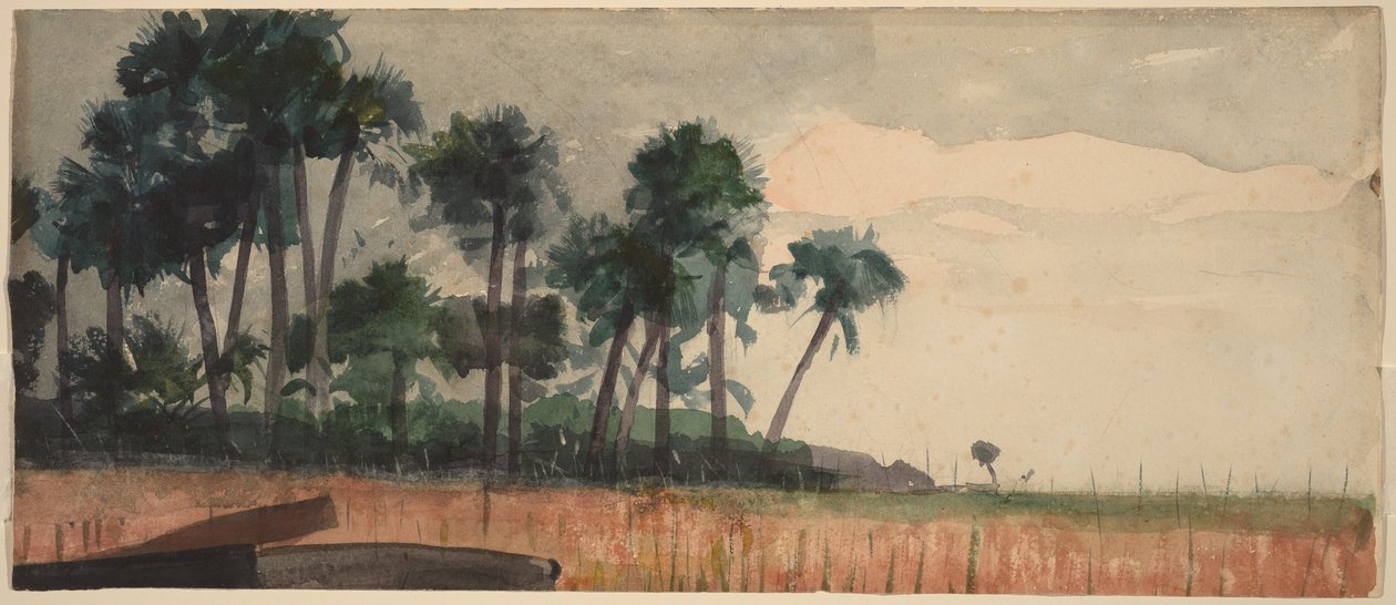Røde palmer af Winslow Homer