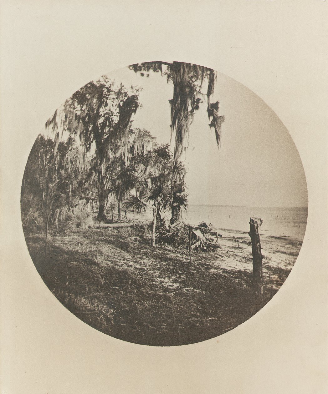 Palmetræ og strandscene, Floridas kyst, ca. 1904 af Winslow Homer