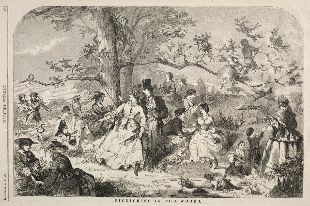 Picnic i skoven af Winslow Homer