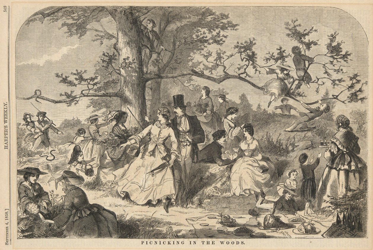Picknick i skoven fra Harper af Winslow Homer