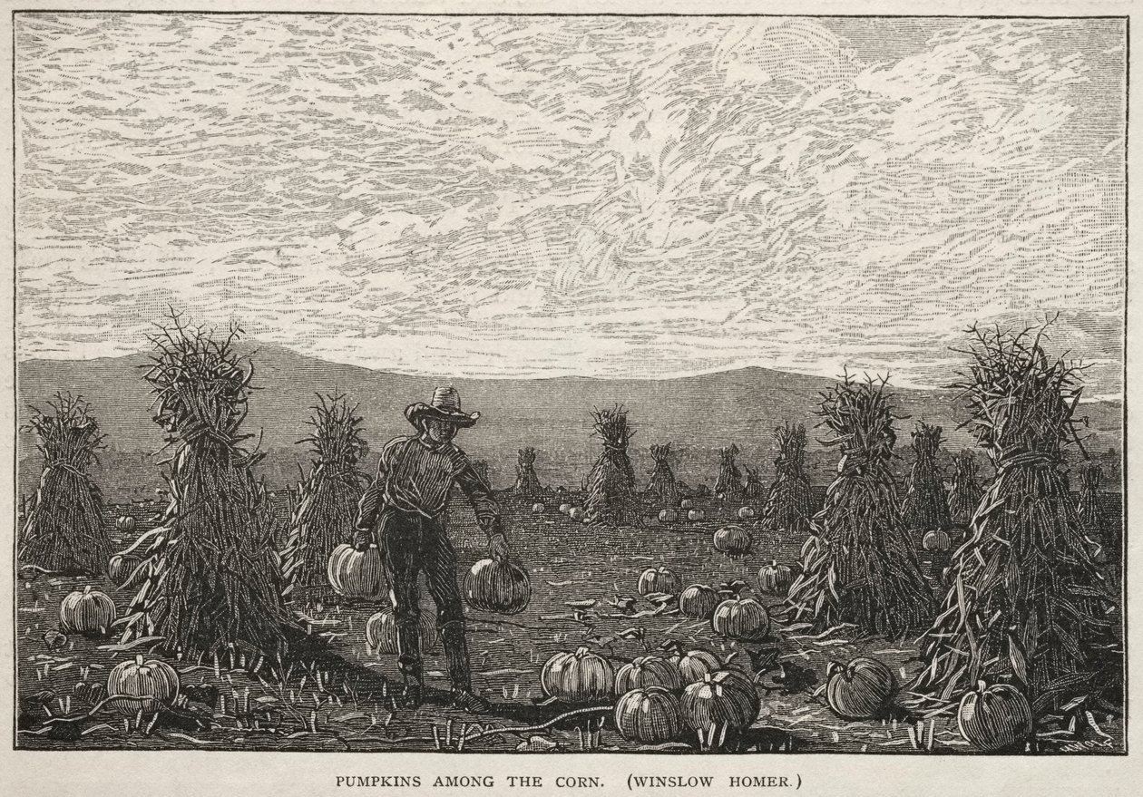 Pumpkins Among the Corn, 1878. af Winslow Homer