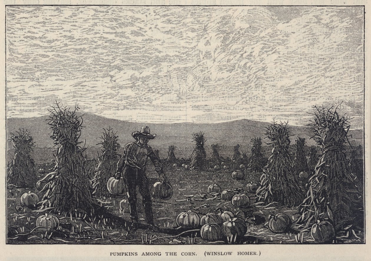 Pumpkins Among the Corn, fra Scribner