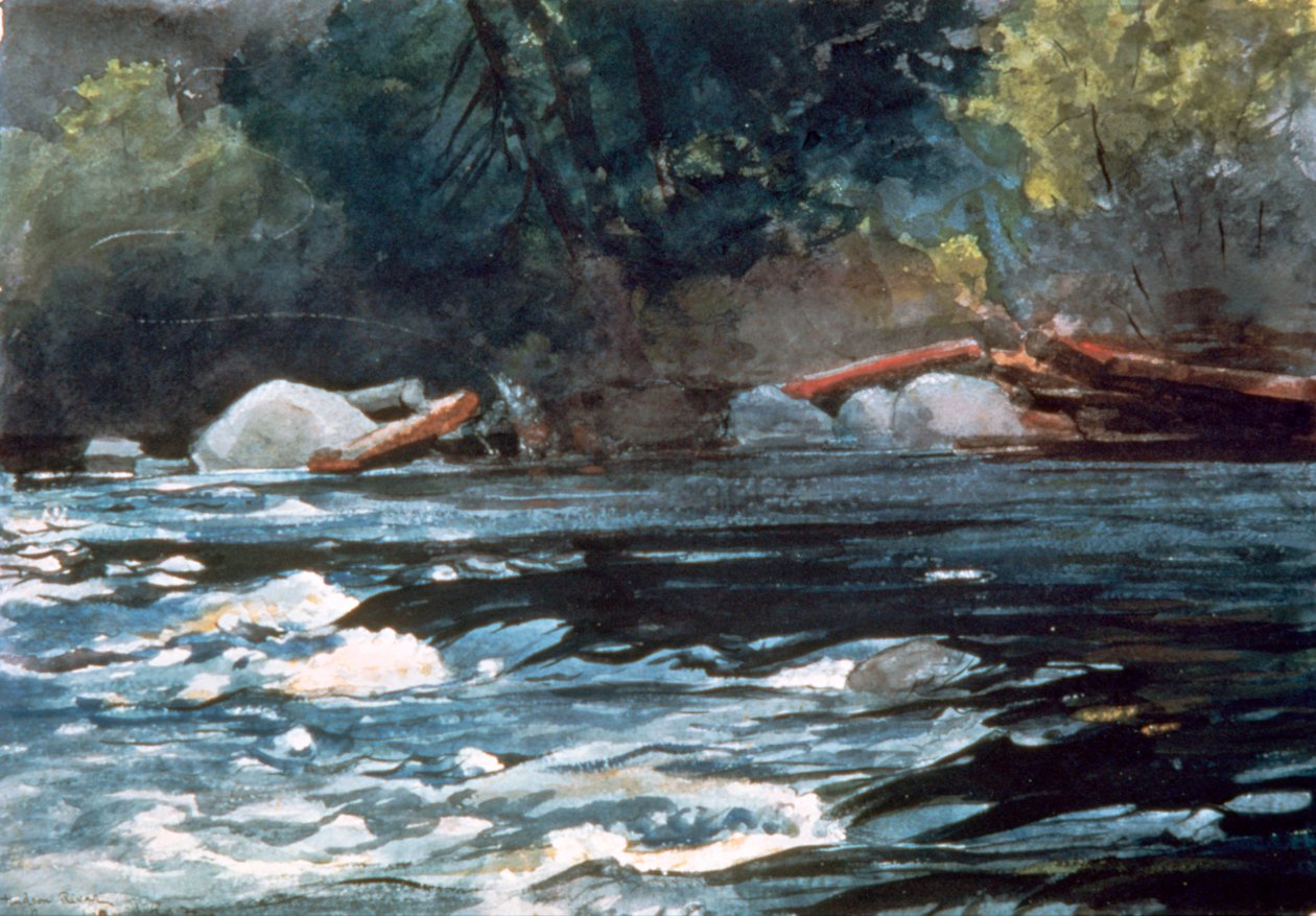 Rapids, Hudson River, 1894 af Winslow Homer