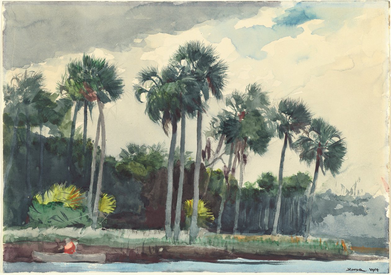 Rød skjorte, Homosassa, Florida af Winslow Homer