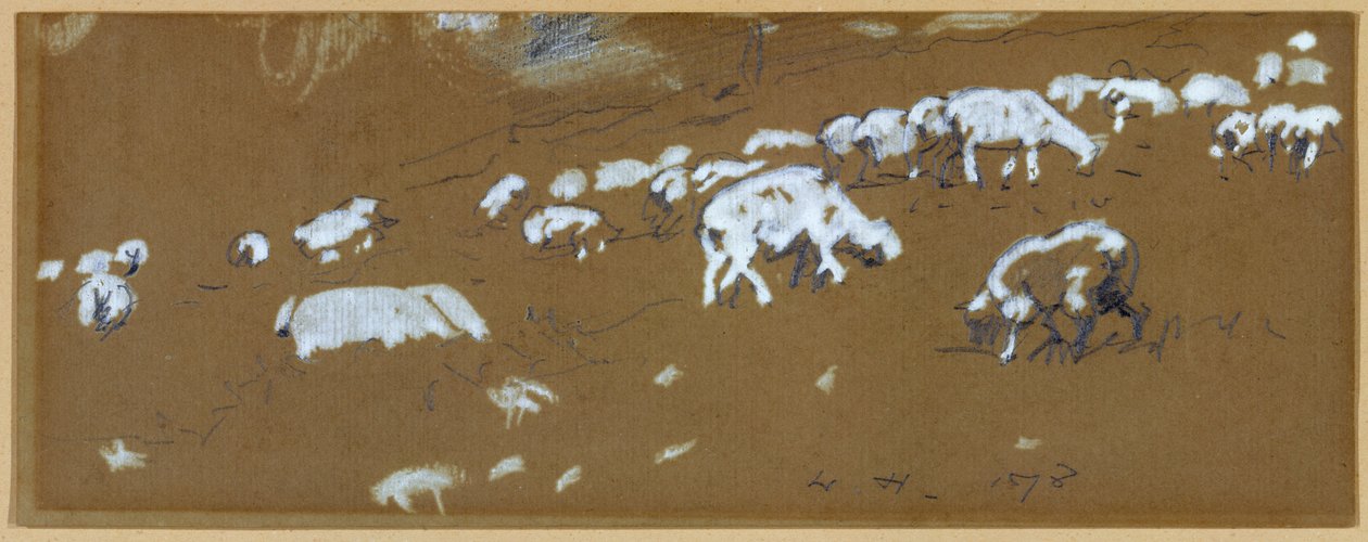 Får, 1878 (grafit og hvid gouache på papir) af Winslow Homer
