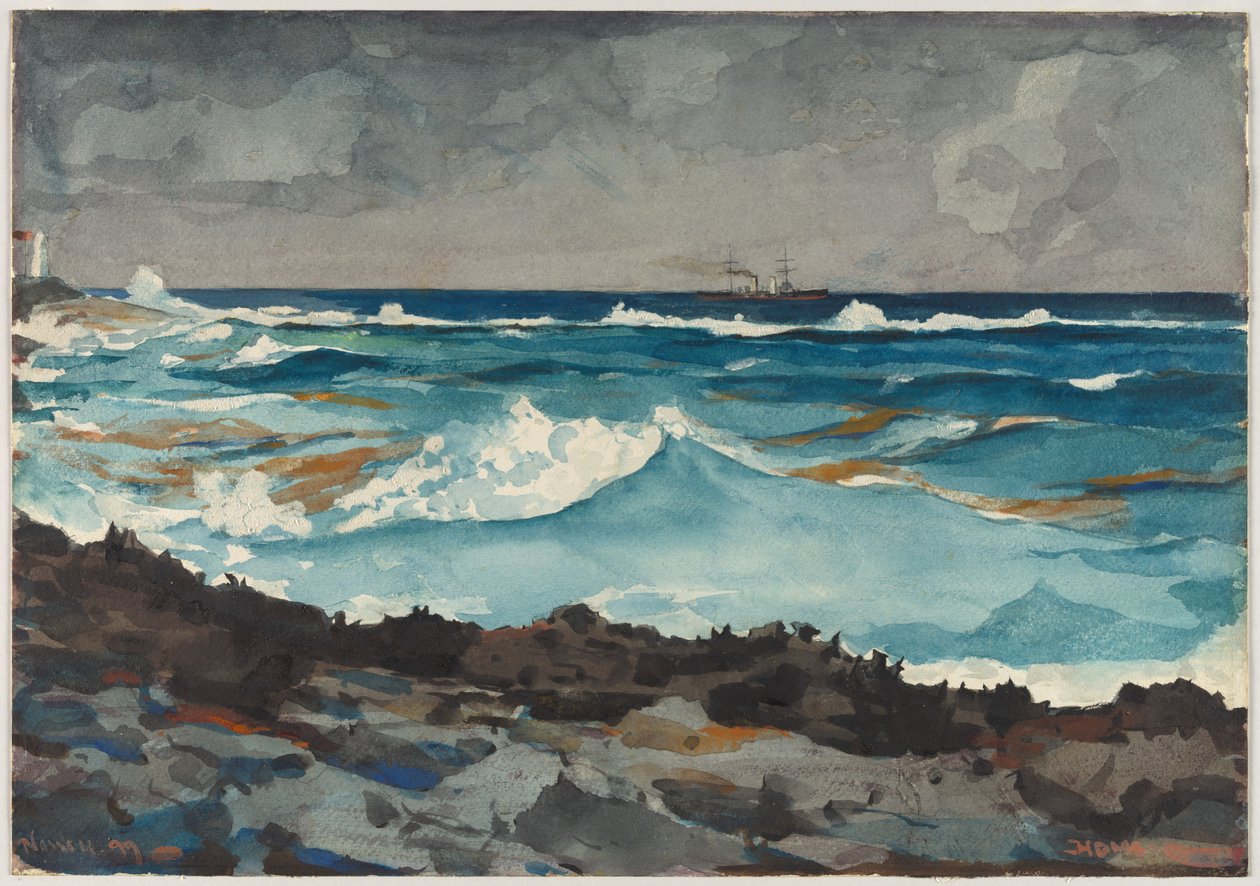  af Winslow Homer