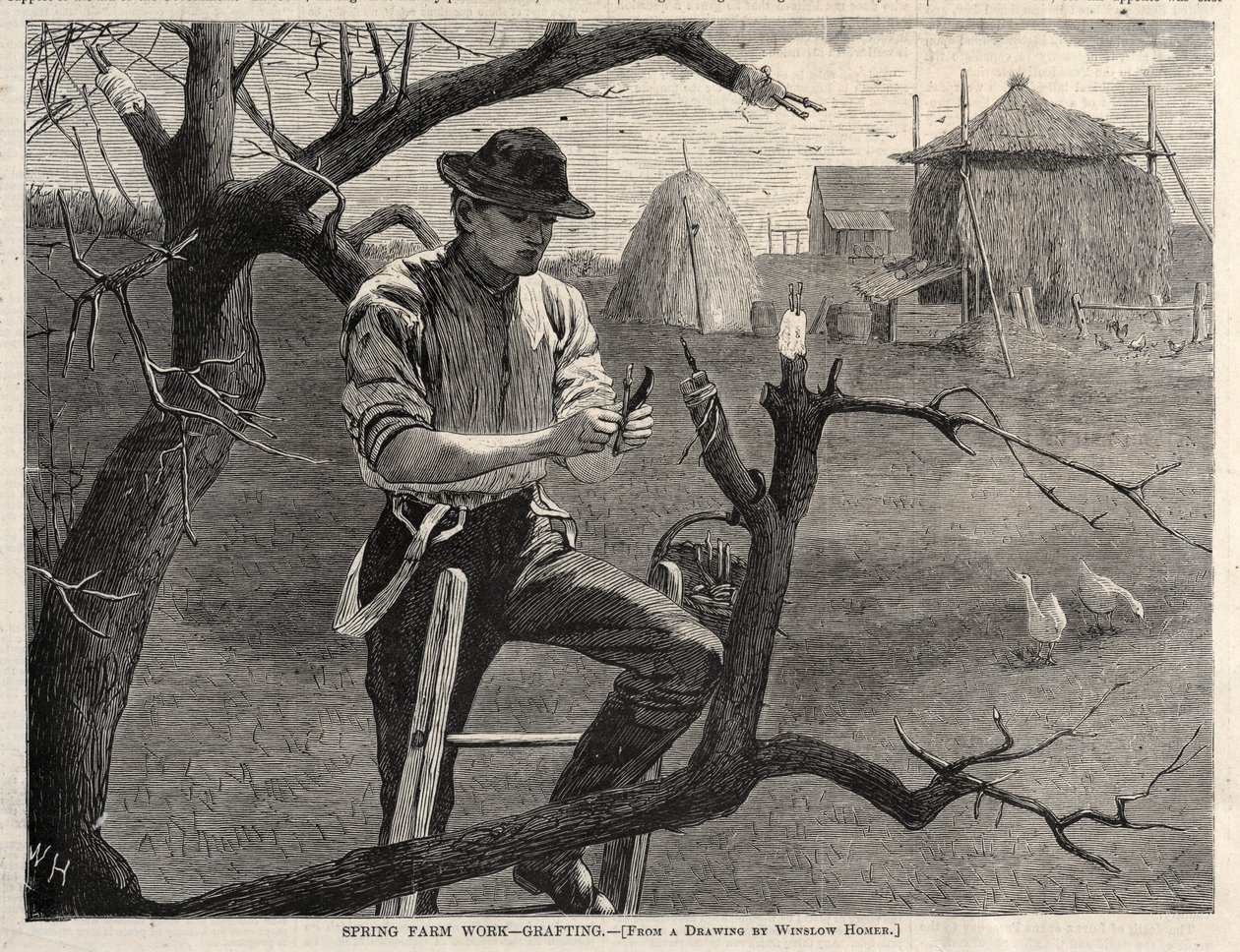 Spring Farm Work - Podning, 1870. af Winslow Homer