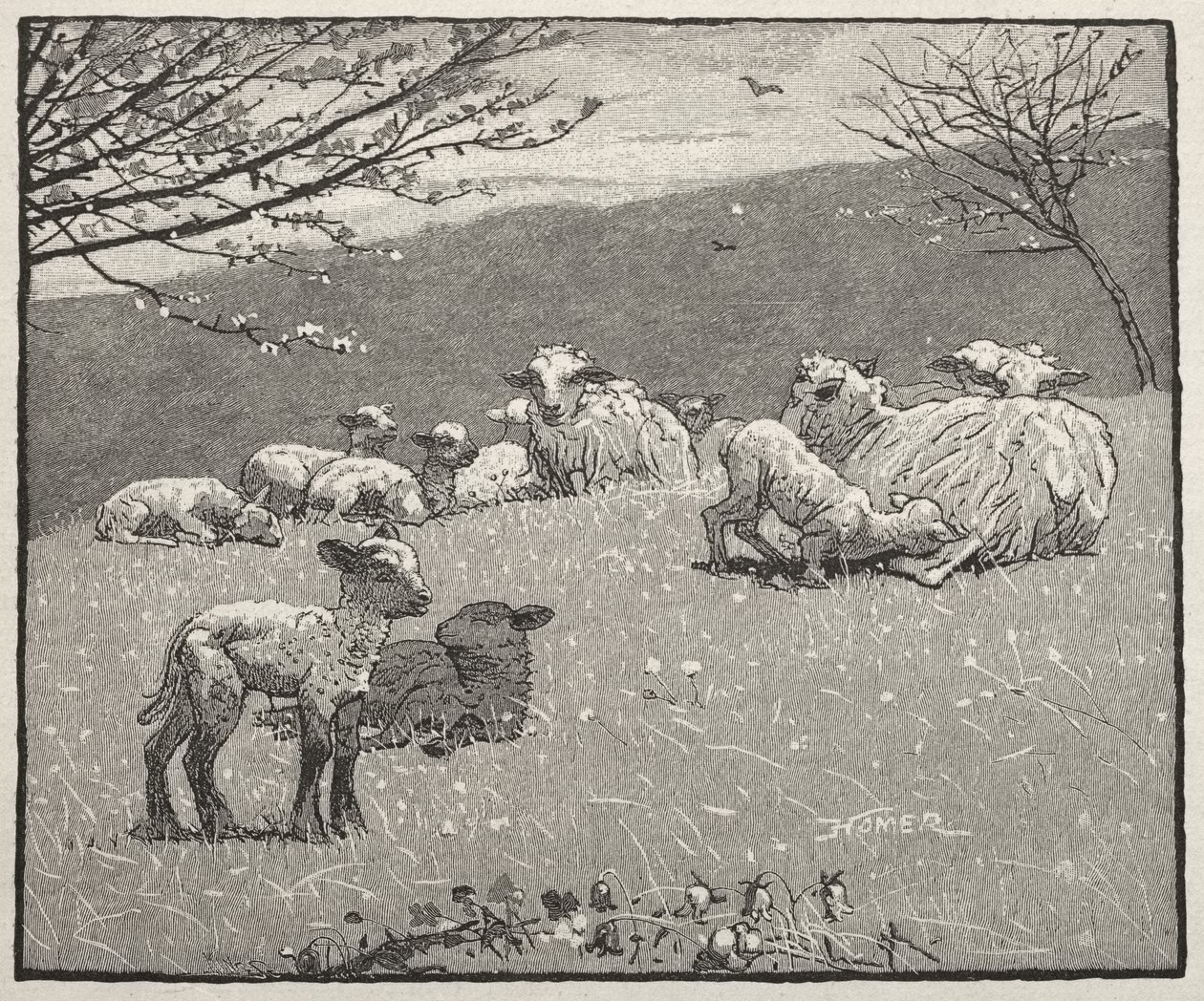 Forårslamb af Winslow Homer