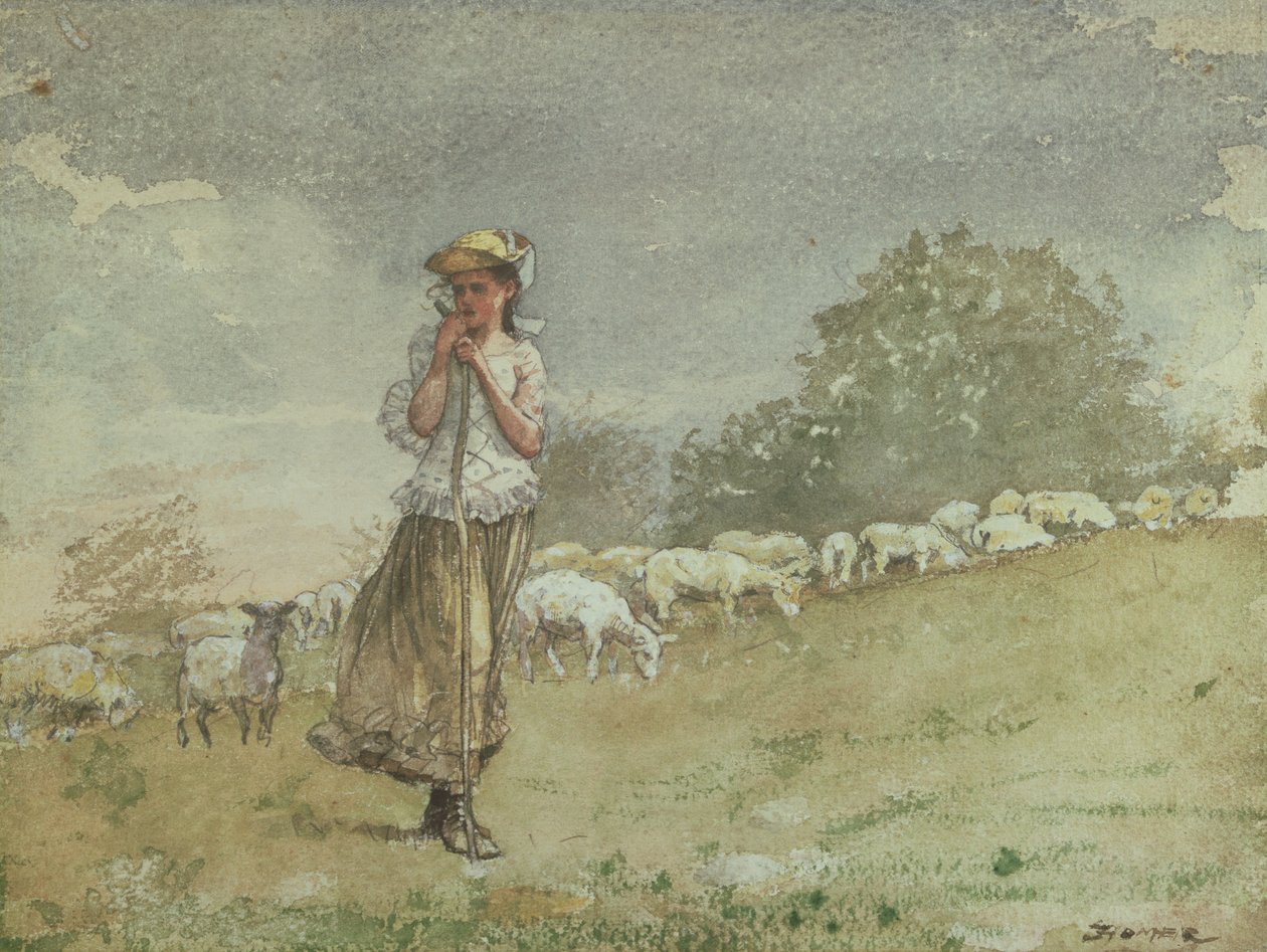 Pasning af får, Houghton Farm, ca. 1878-79 af Winslow Homer