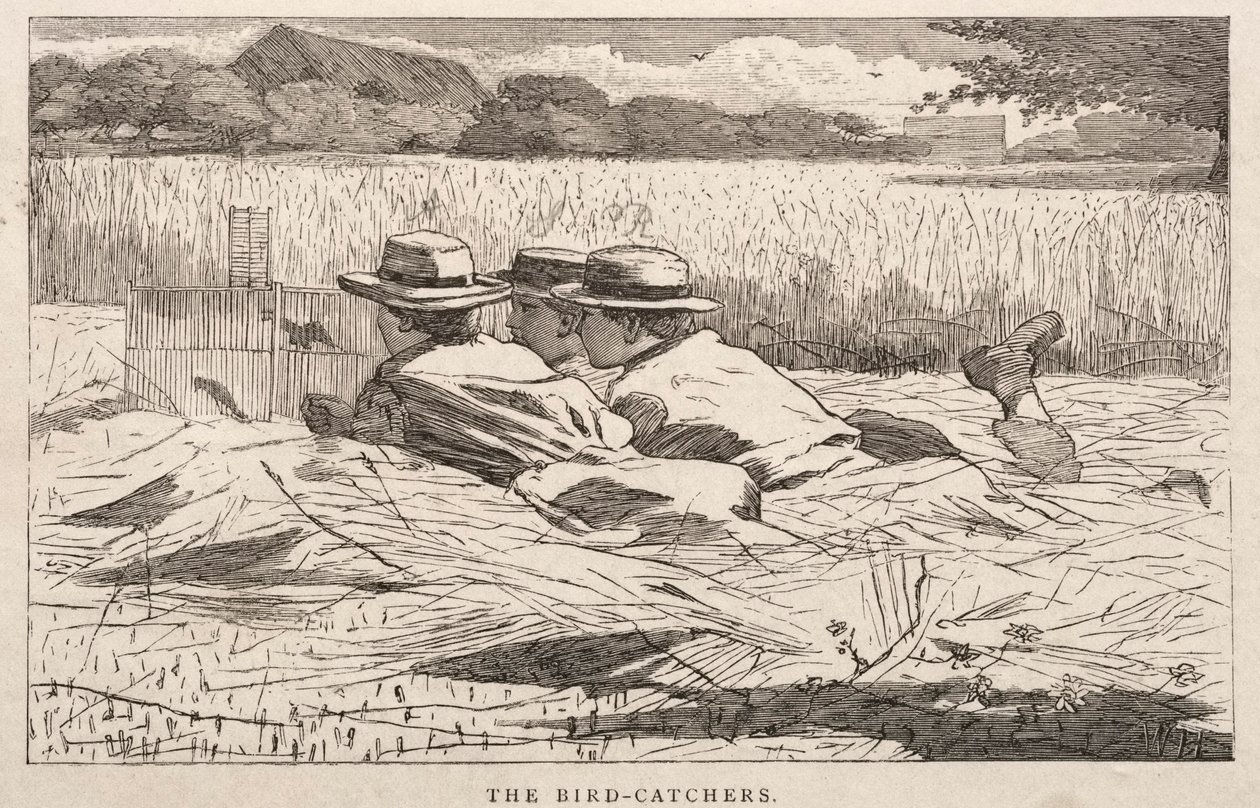 Fuglefangerne af Winslow Homer