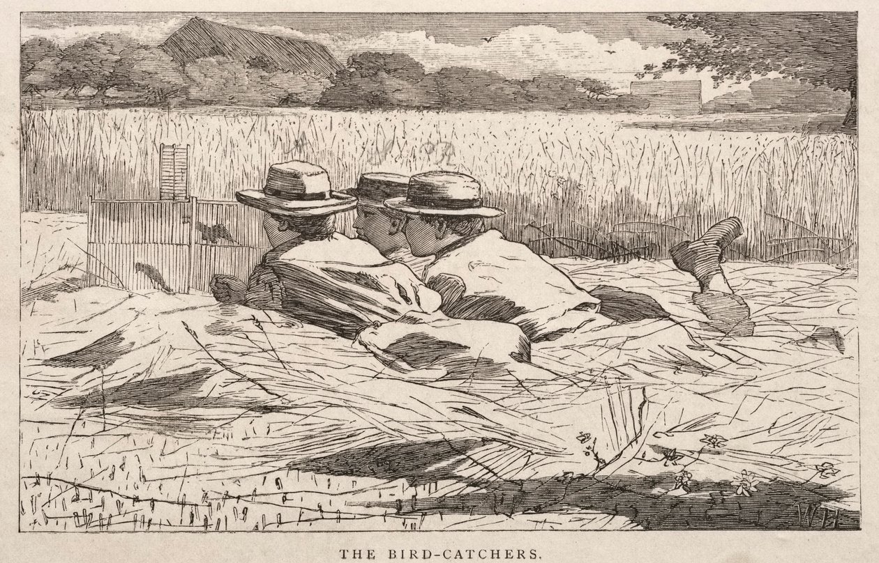 Fuglefangerne, 1867. af Winslow Homer