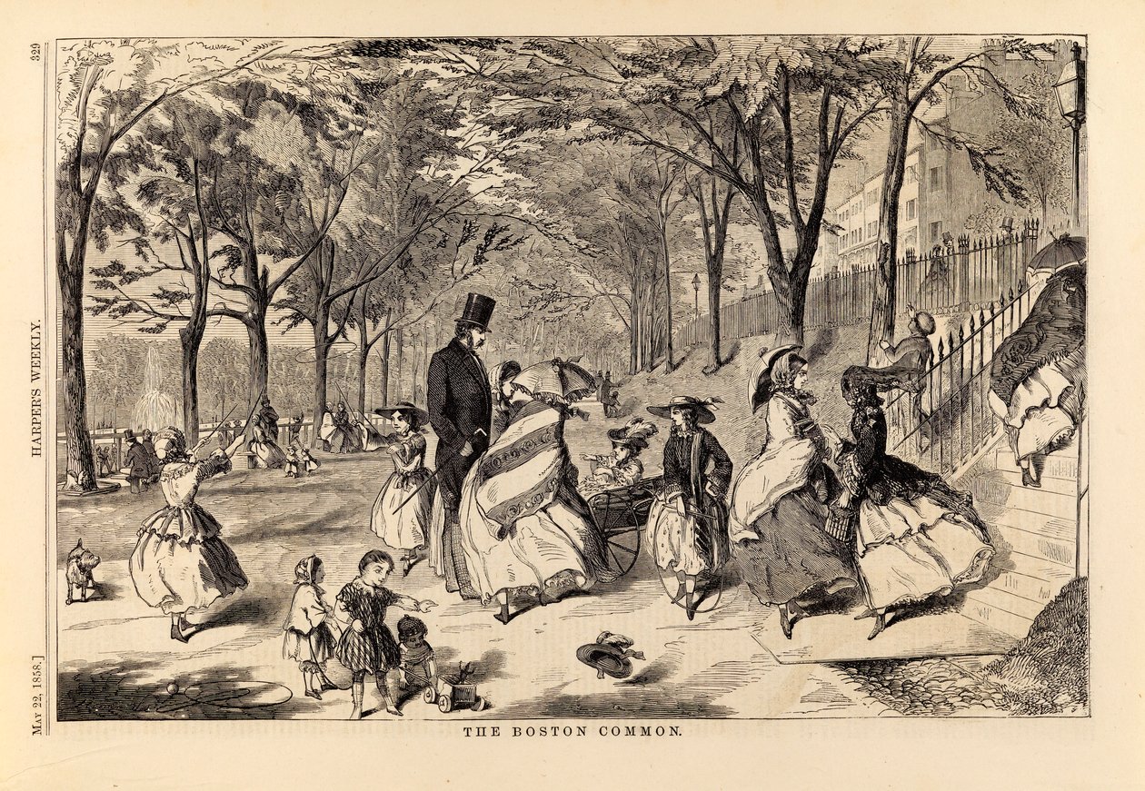 The Boston Common, fra Harper