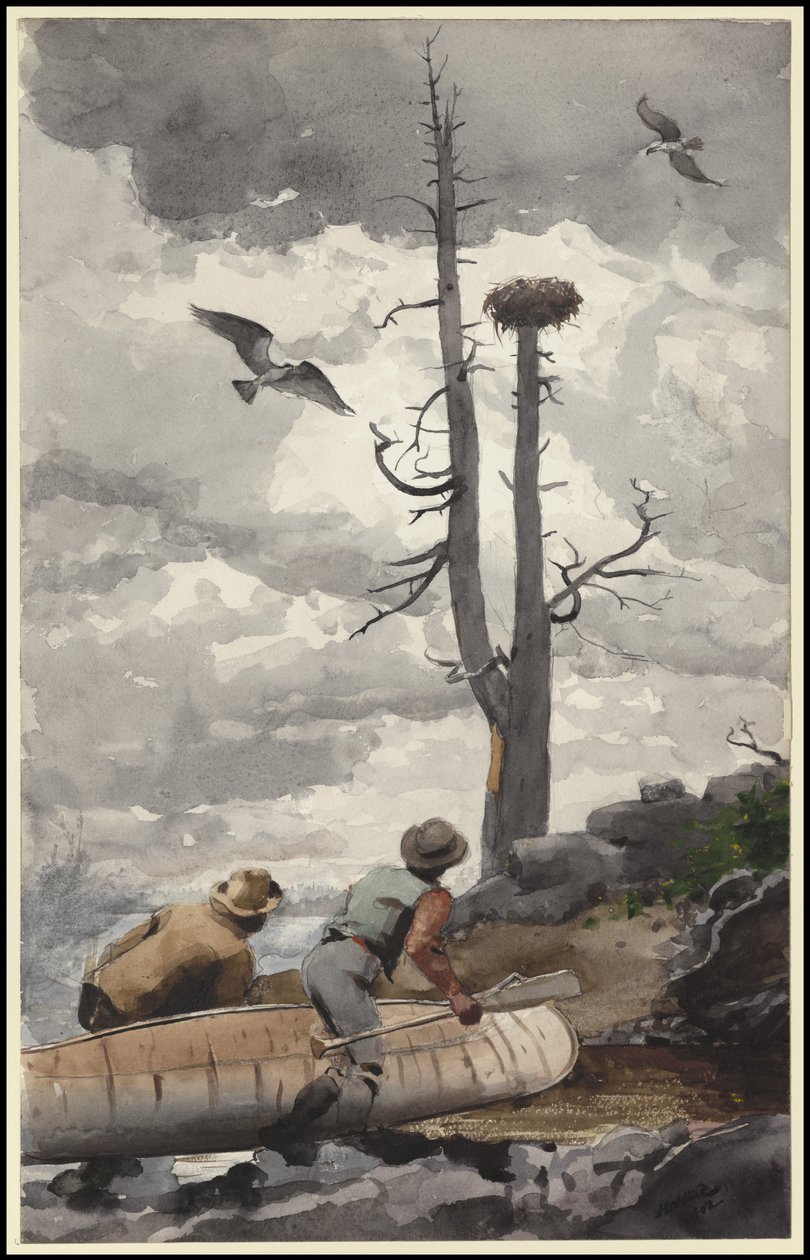 Ørnereden, 1902 af Winslow Homer