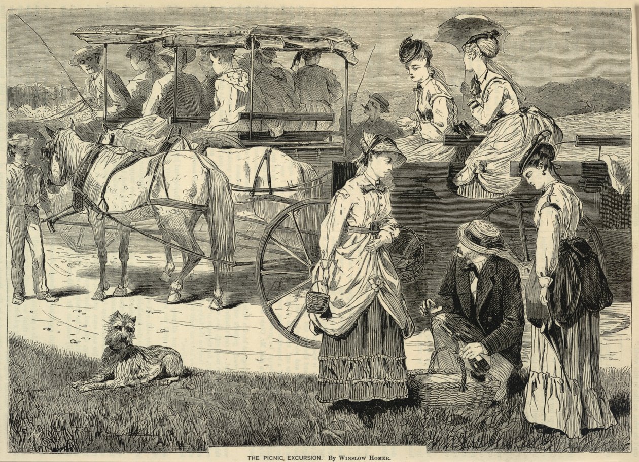 The Picnic Excursion, fra Appletons