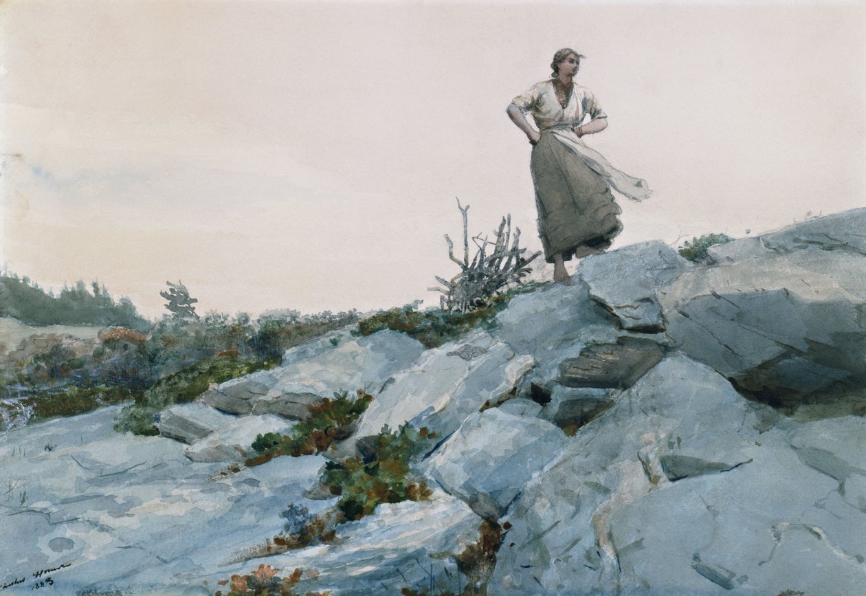 Kvistesamleren, 1883 af Winslow Homer