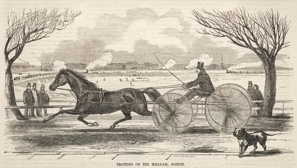 Trav på mølledæmningen, Boston af Winslow Homer