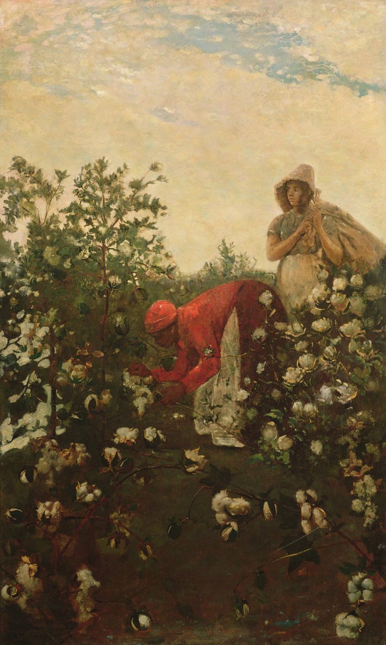 Upland Cotton, 1875 af Winslow Homer