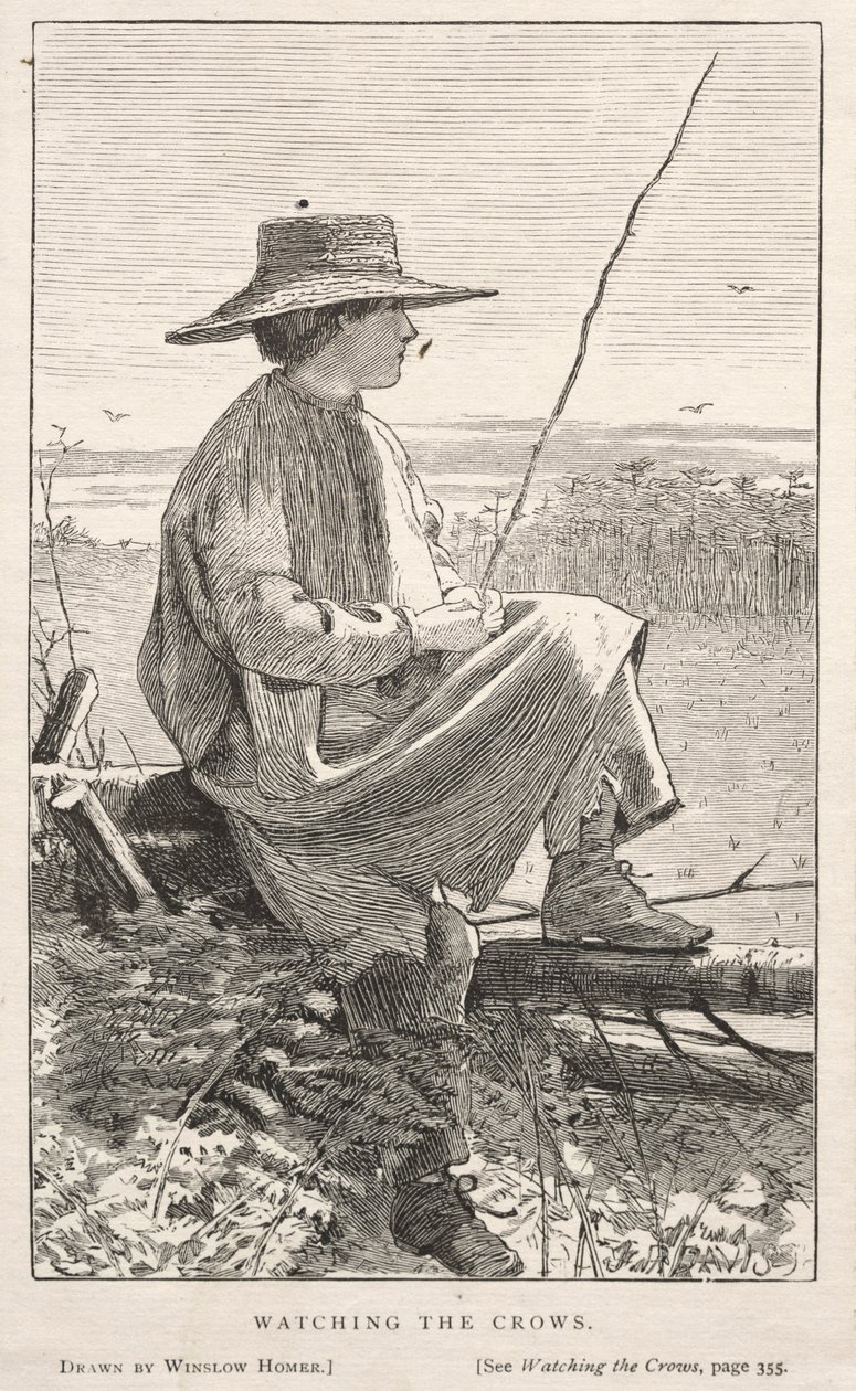 At holde øje med kragerne af Winslow Homer