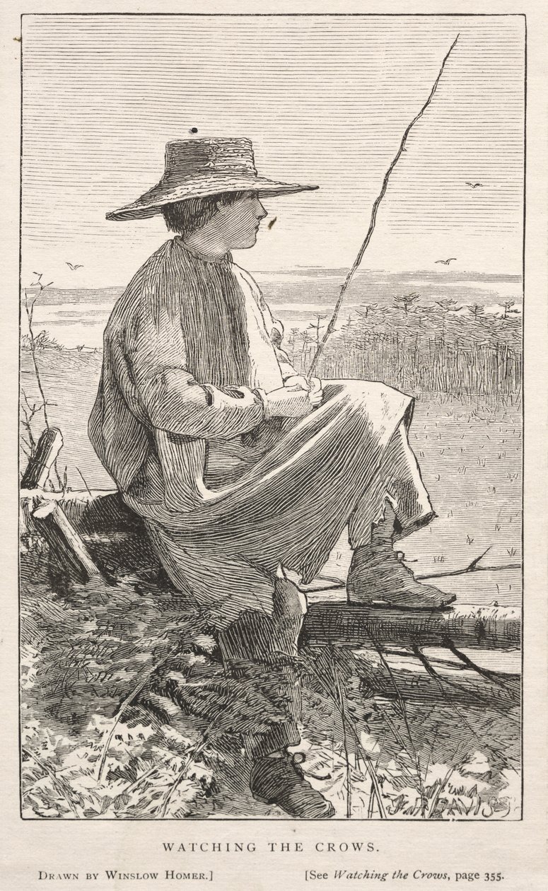 Watching the Crows, 1868. af Winslow Homer