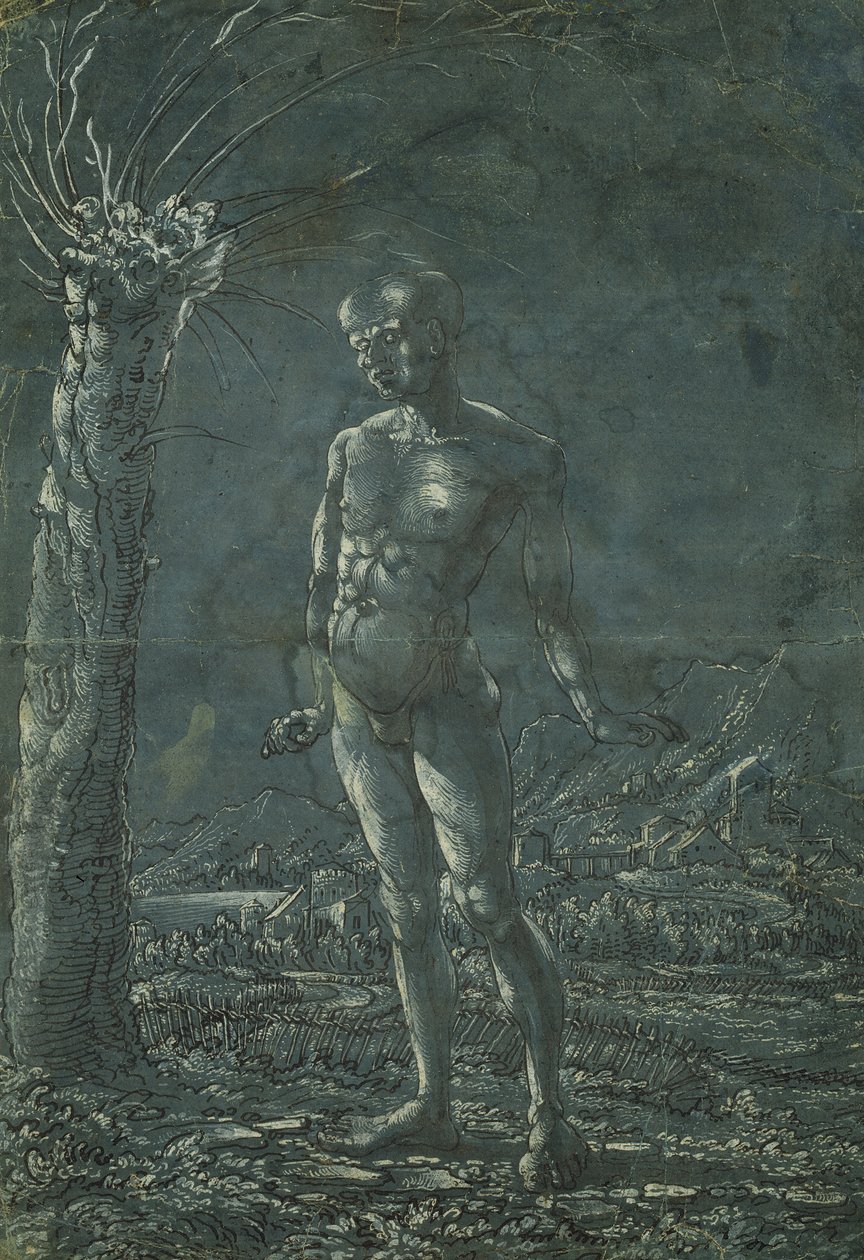 Stående nøgen mand i et landskab, ca. 1512 (pen og sort blæk med hvid fremhævelse på papir) af Wolf Huber