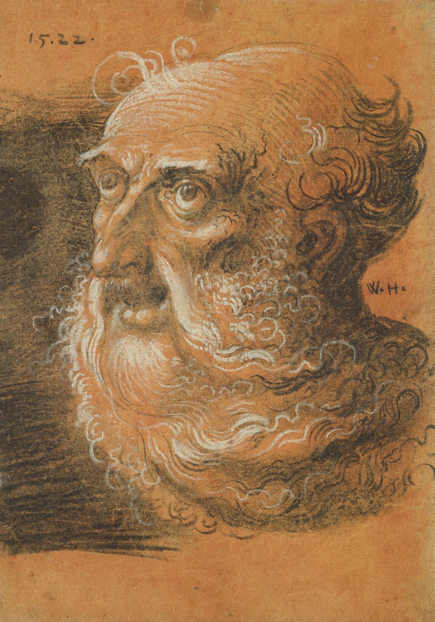 Head Study, 1522 (kul og hvidt kridt på papir) af Wolf Huber