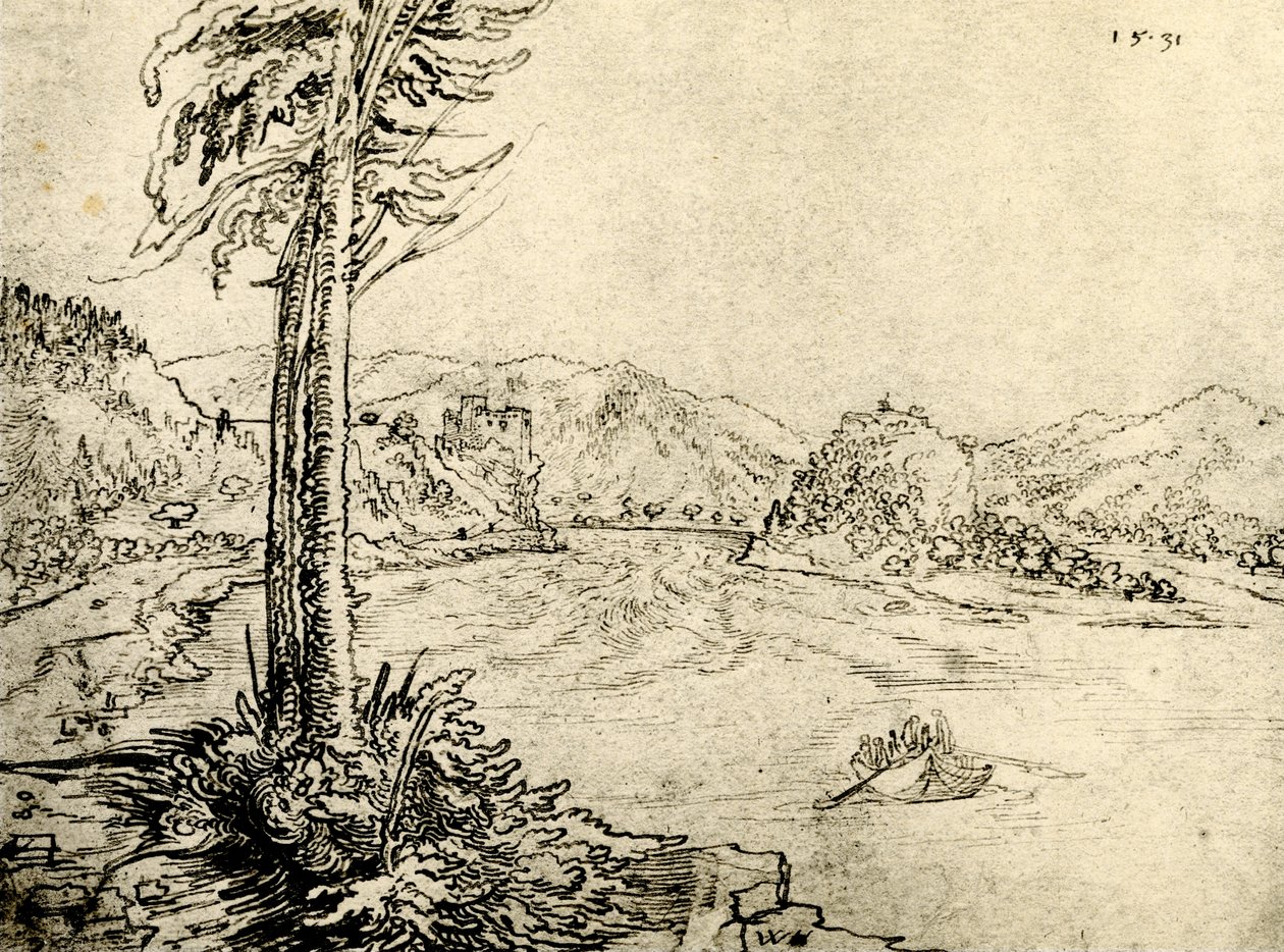 Donau hvirvler ved Grein af Wolf Huber