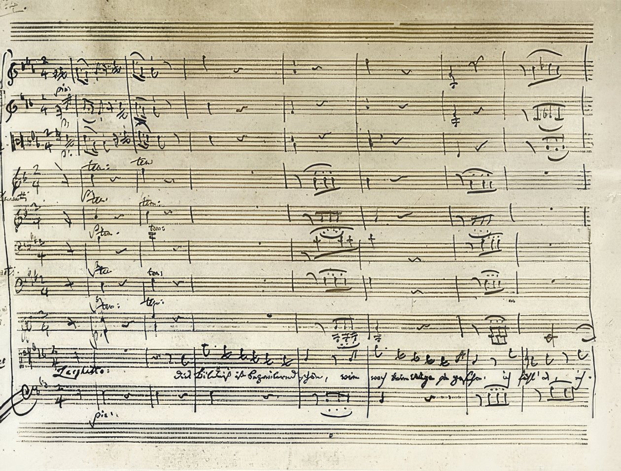 Håndskrevet skrift af begyndelsen af ​​Taminos portrætarie fra Tryllefløjten. Transskription af noter. 1791 af Wolfgang Amadeus Mozart