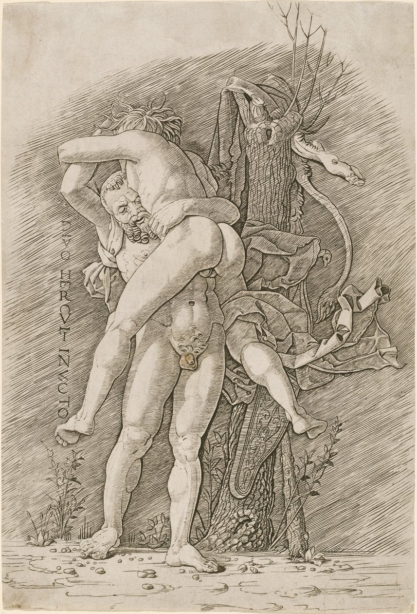 Hercules og Antaeus af Workshop of Andrea Mantegna