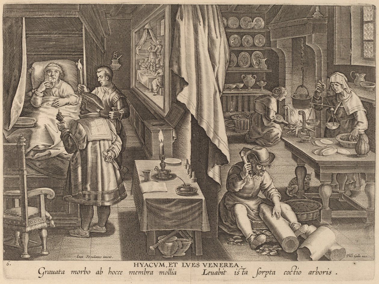 Guaiacum og venerisk infektion af Workshop of Philip Galle after Jan van der Straet