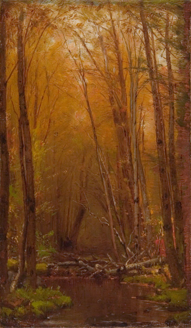 Birkene i Catskills af Worthington Whittredge