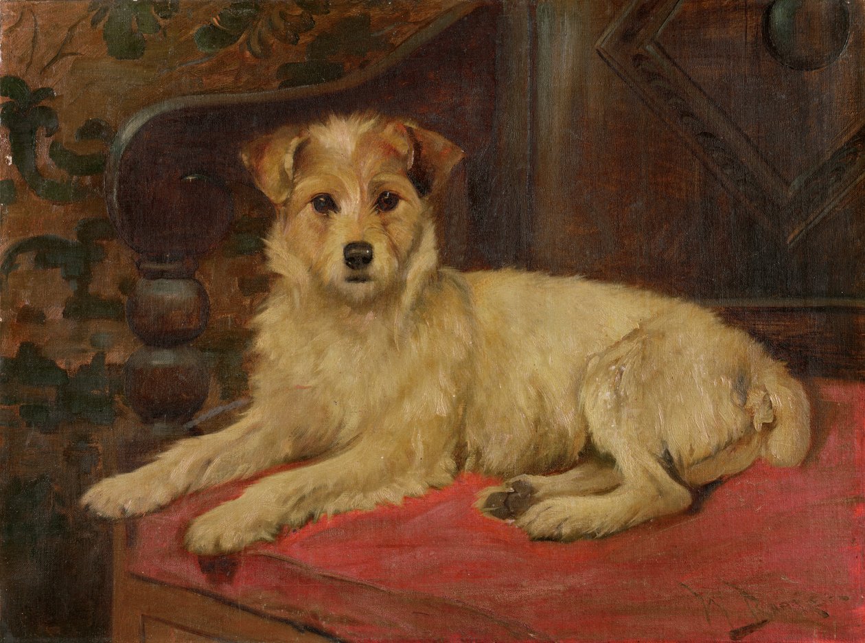 En terrier på en sofa af Wright Barker