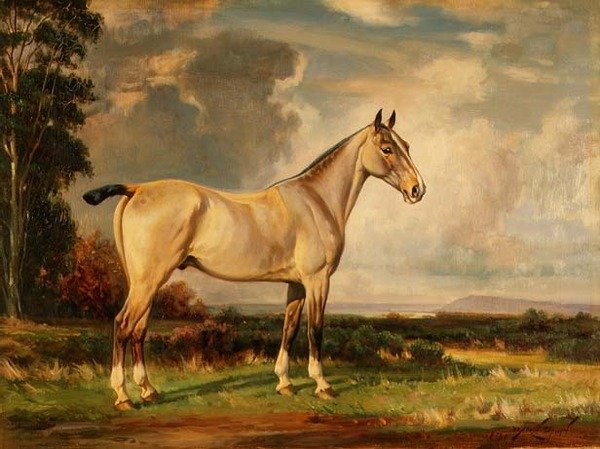 Portræt af påfugl af Wright Barker