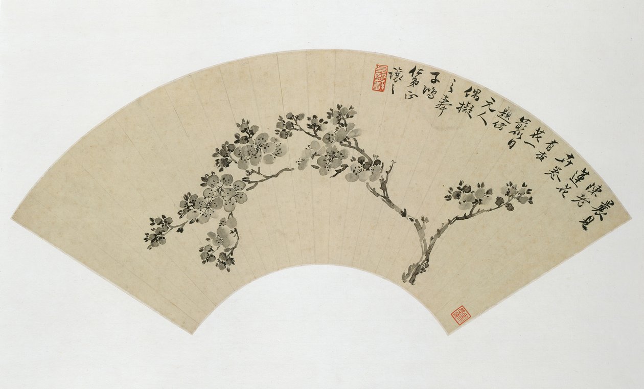 Abrikos, 1800-tallet. af Wu Xizai