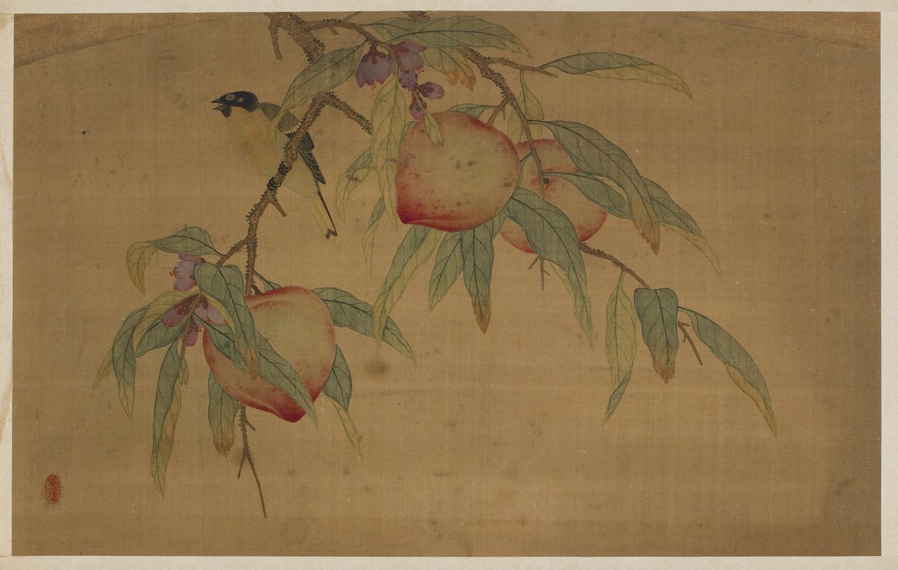 Fugl, frugt og blomster, Qing-dynastiet, 1741. af Wu Zhang