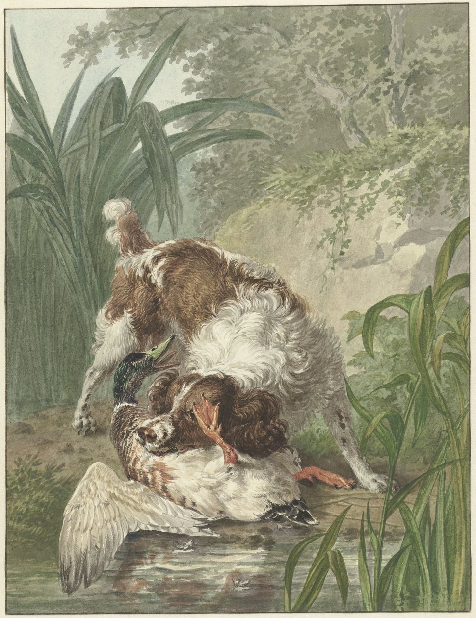 Jagthund fanger en and af Wybrand Hendriks