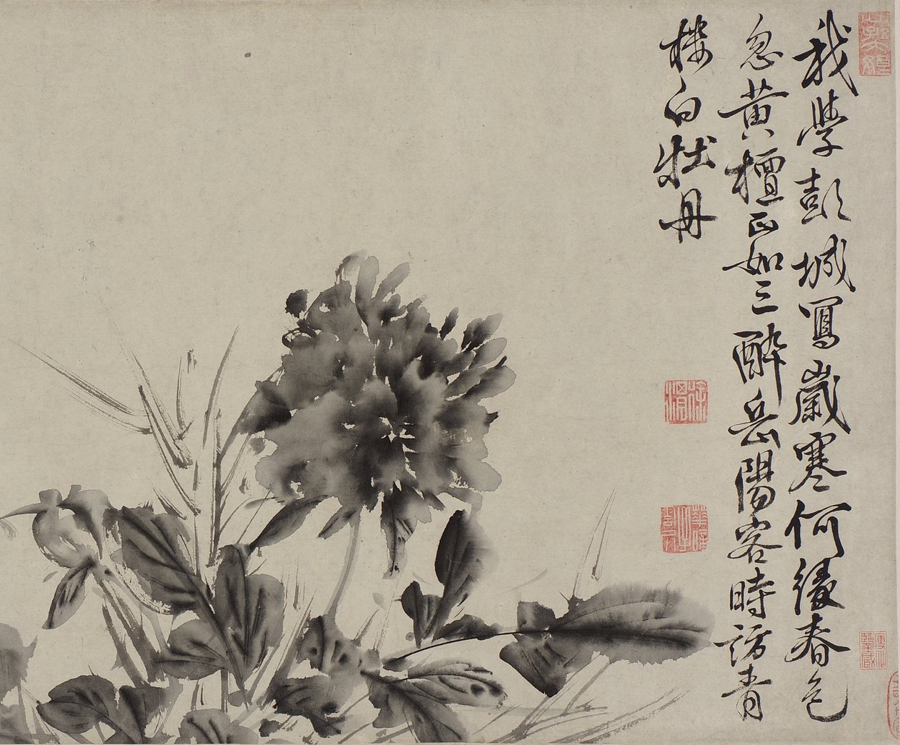 Tolv blomster og digte, Ming-dynastiet (blæk på papir) af Xu Wei
