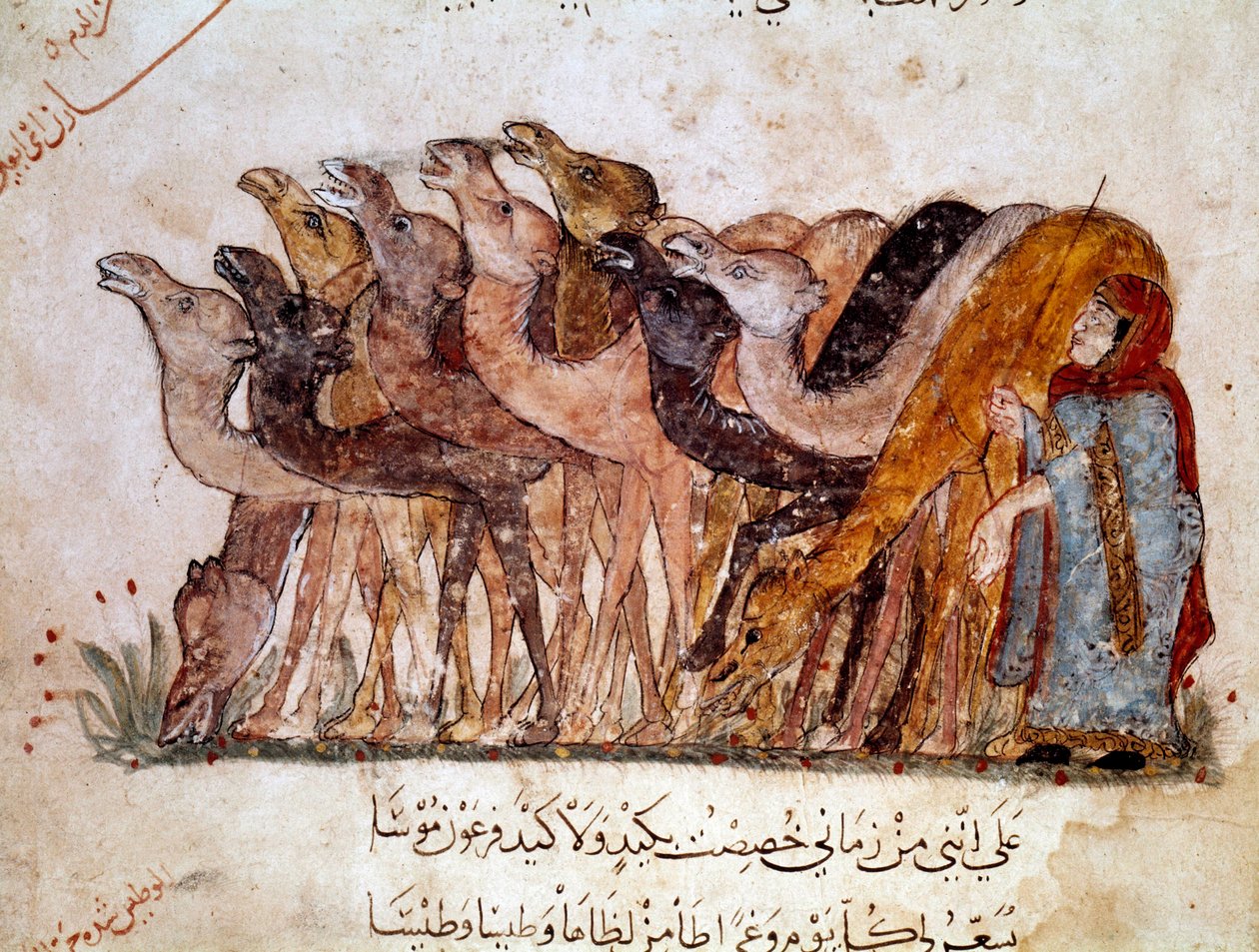 En gruppe af kameler og kameler, karavane i ørkenen. Side af "" Maqamat"" (Seances), pikaresk digt fra det 11. århundrede af den arabiske digter Abu Mohammed al-Kasim ibn Ali Hariri (eller Al-Hariri eller Al Hariri) (1054-1122) illustreret af Al-Wasiti (al af Yahya ibn Mahmud Al Wasiti