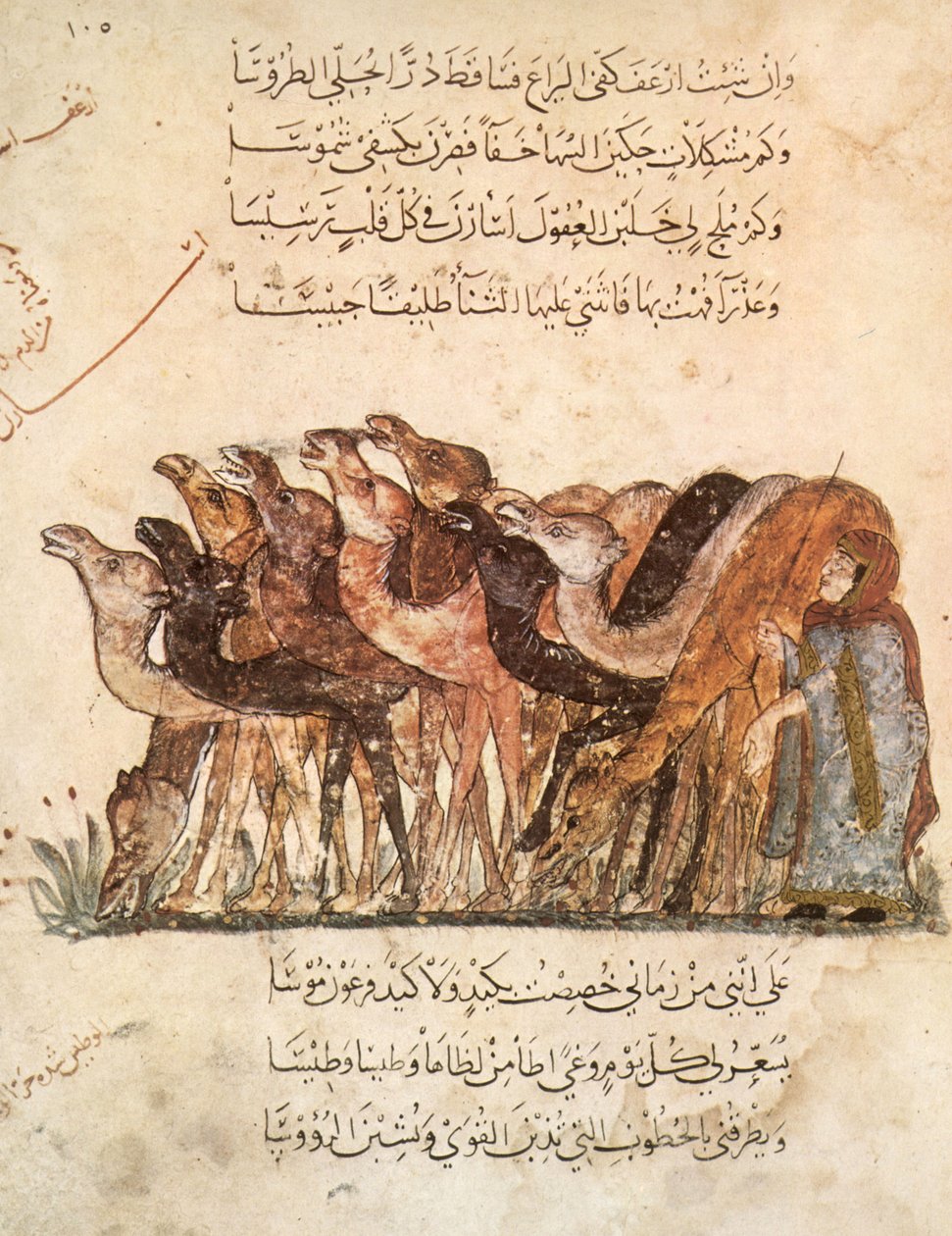 Ms Ar 5847 f.101, flok kameler, fra Al Maqamat (The Meetings) af Al Hariri, ca. 1240 (se også 1258010) af Yahya ibn Mahmud Al Wasiti