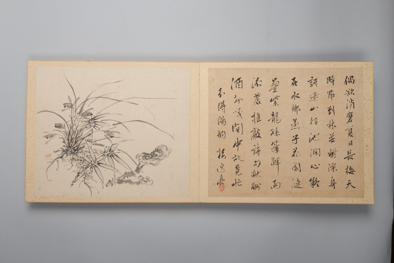 Raffineret elegance i de fire årstider Shiji seiga, Album of Flower Paintings, 1844. af Yamamoto Baiitsu
